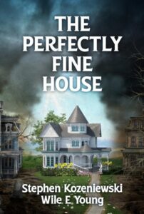 The Perfectly Fine House by Stephen Kozeniewski and Wile E Young